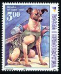 SVEMIR – JUBILEJ: Pas Lajka, Prvo živo Bice U Svemiru (1957 – 2007)