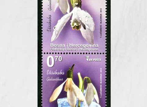 FLORA – Proljetno Cvijeće: Visibaba, Redovna Marka