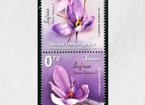 FLORA – Proljetno Cvijeće: Šafran, Redovna Marka