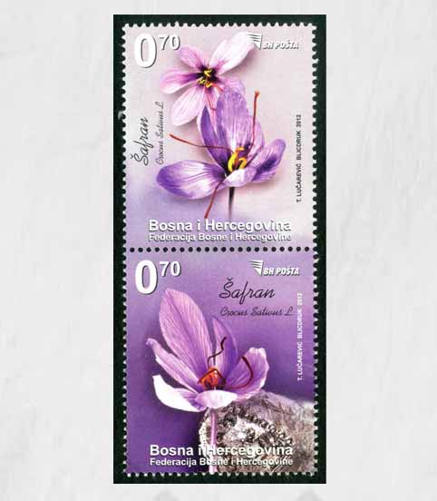 FLORA – Proljetno cvijeće: Šafran, Redovna marka