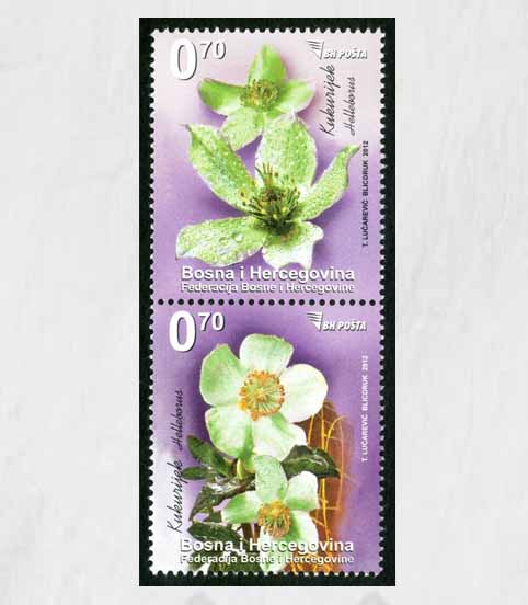 FLORA – Proljetno cvijeće: Kukurijek, Redovna marka