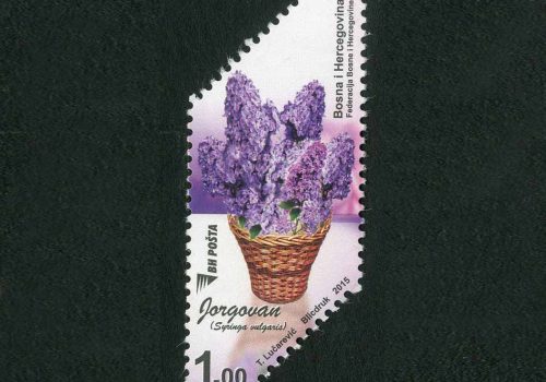 Flora – Jorgovan