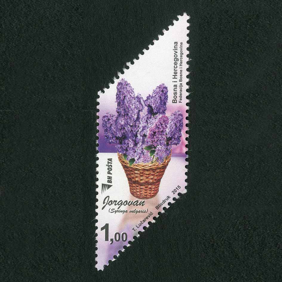 Flora – Jorgovan