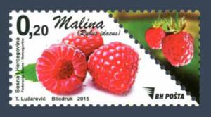 Bobičasto Voće – Malina
