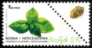Začinske Biljke – Bosiljak