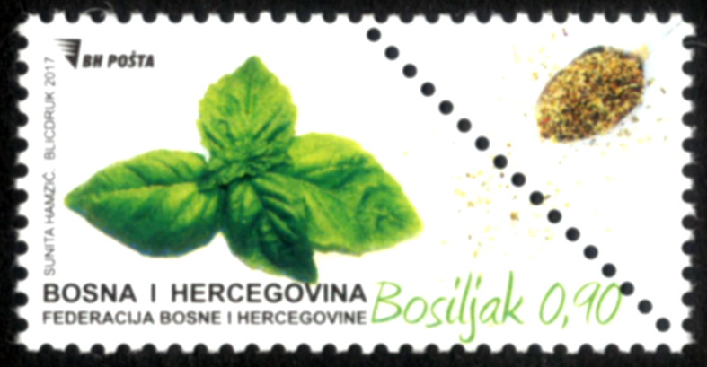 Začinske biljke – Bosiljak