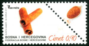 Začinske Biljke – Cimet