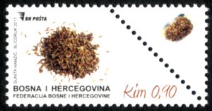 Začinska Biljka – Kim