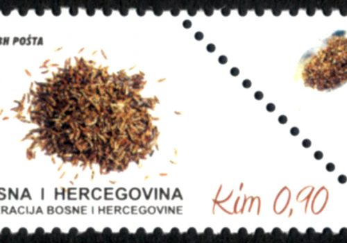 Začinska Biljka – Kim