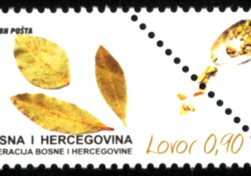 Začinska Biljka – Lovor