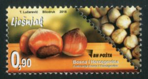 Orašasti Plodovi LJEŠNJAK