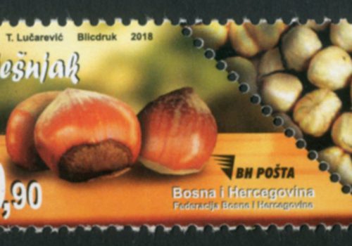 Orašasti Plodovi LJEŠNJAK
