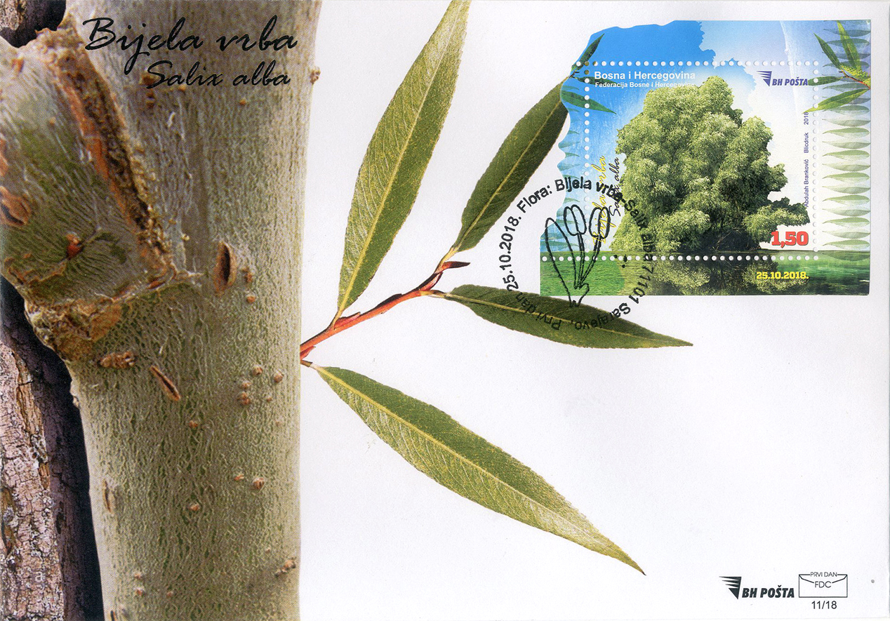 FDC Bijela Vrba