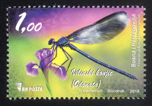 Vilinski Konjic (Odonata)