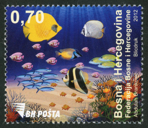 Morska fauna – riba