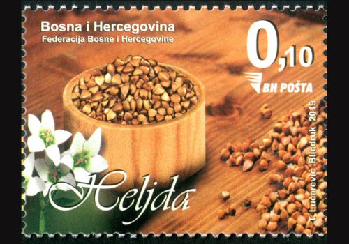 Heljda