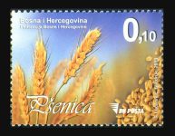 Pšenica