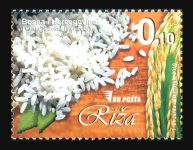 Riža
