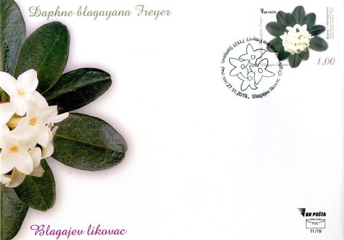Blagajev Likovac (Daphne Blagayana Freyer) – FDC