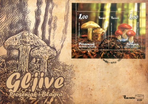Prosenjak (Hydnum Repandum) I Blagva (Amanita Caesarea) – FDC