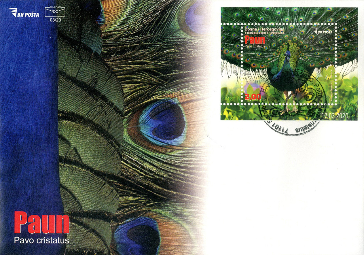 Motiv: Paun (Pavo cristatus) – FDC