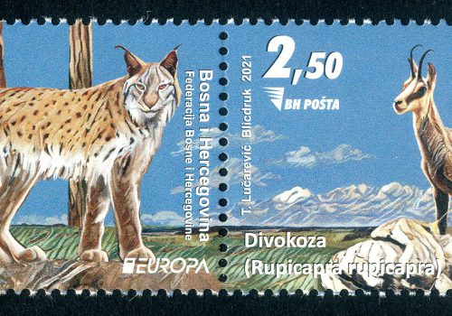 Ugrožena Nacionalna Divljač – Ris, Divokoza (serija)