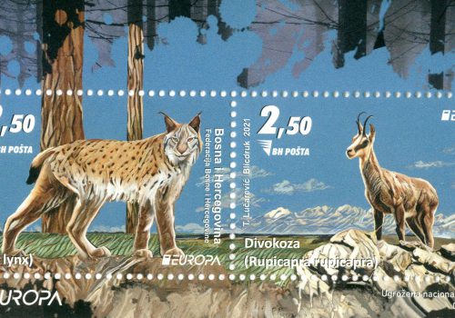Ugrožena Nacionalna Divljač – Ris, Divokoza (blok)