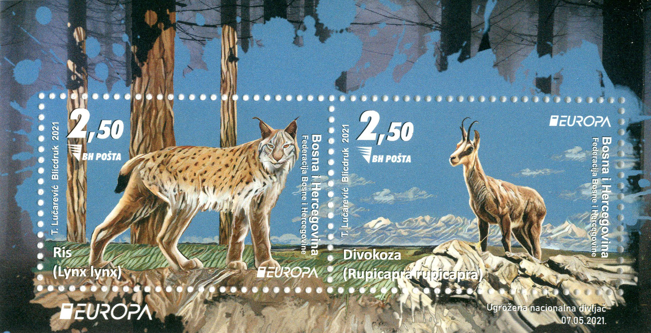 Ugrožena nacionalna divljač – ris, divokoza (blok)