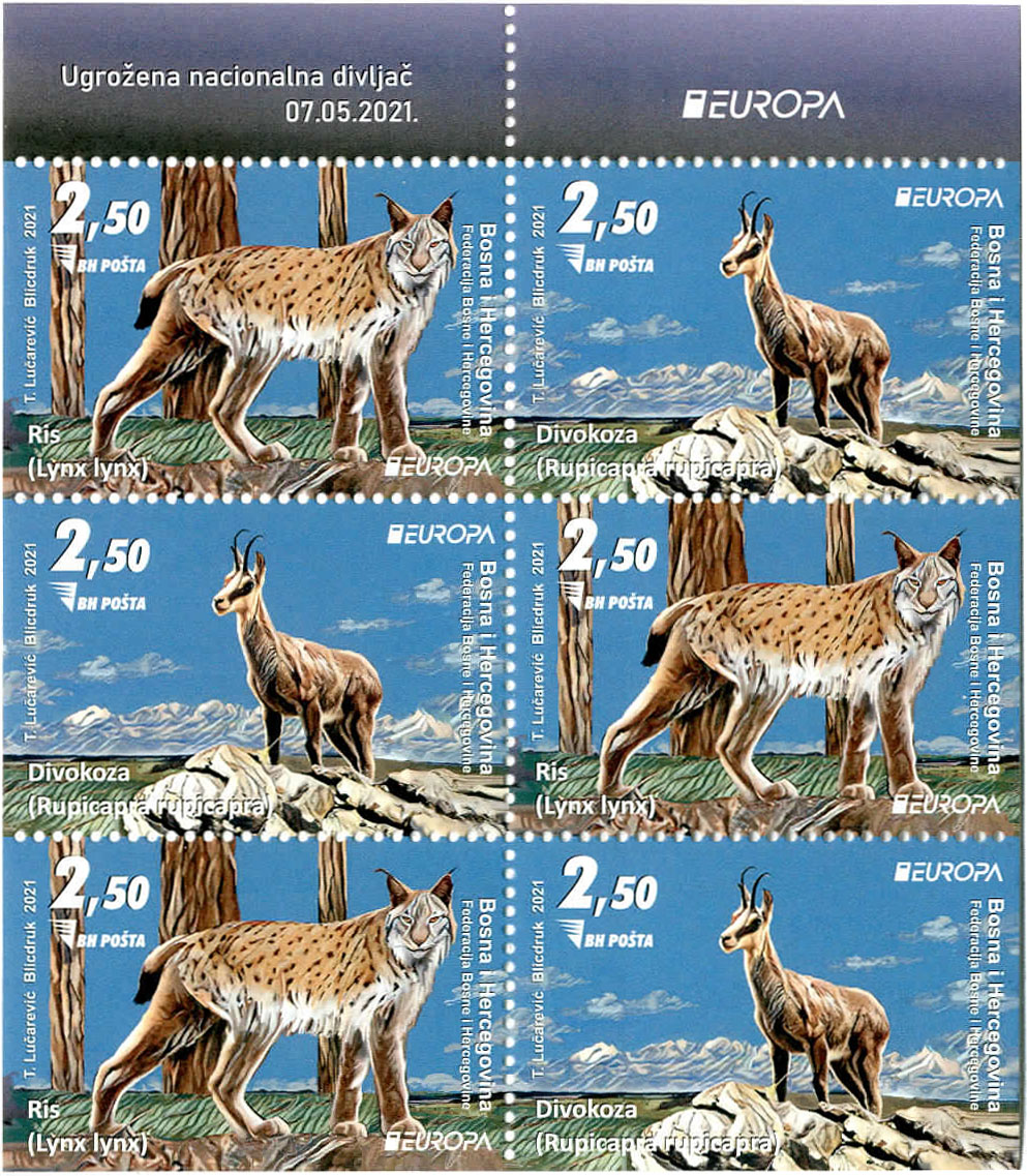 Ugrožena nacionalna divljač – ris, divokoza (karnet)