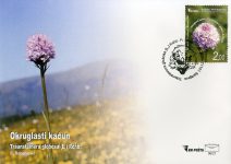 Okruglasti Kaćun – FDC