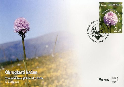 Okruglasti Kaćun – FDC