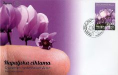 Napuljska Ciklama – FDC