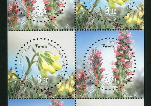 Karnet – Flora