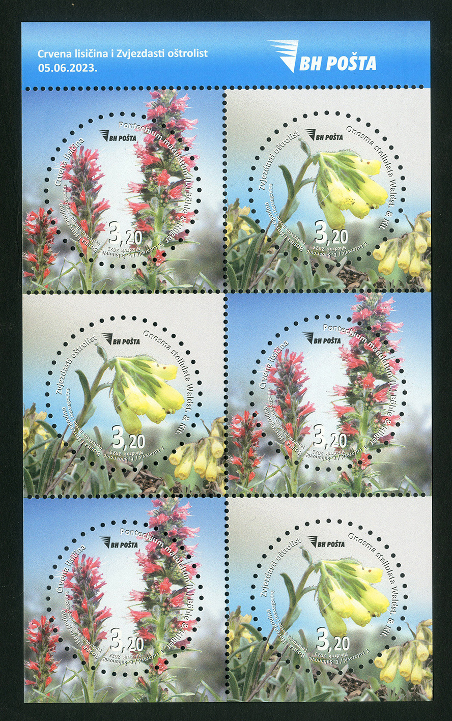 Karnet – Flora