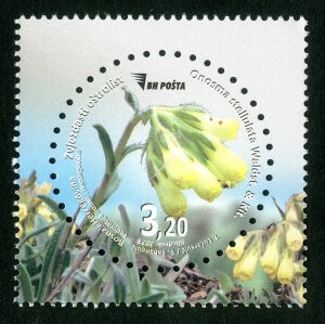 Zvjezdasti Oštrolist