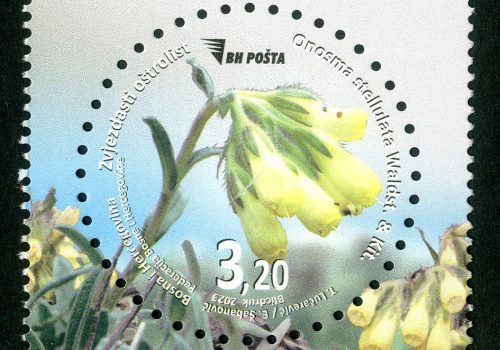Zvjezdasti Oštrolist