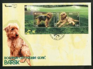 Bosanski Oštrodlaki Gonič-barak – FDC