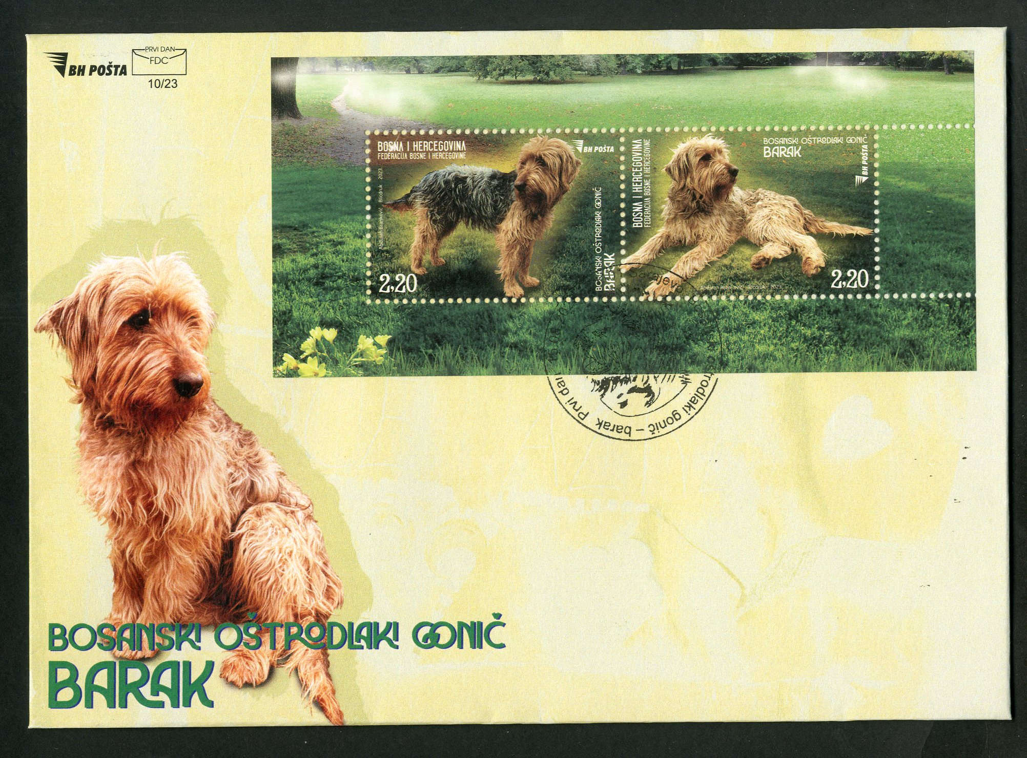 Bosanski oštrodlaki gonič-barak – FDC