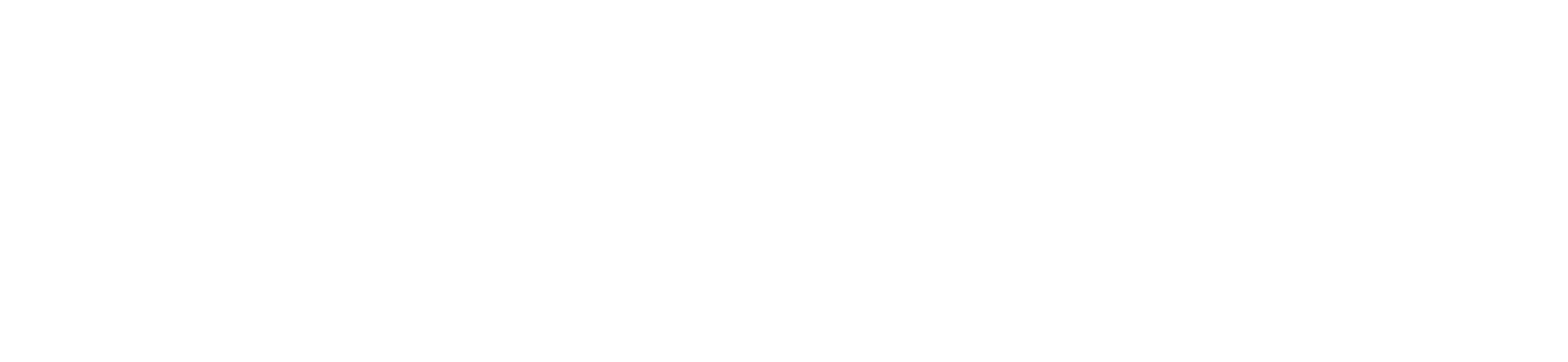 White logo PKI